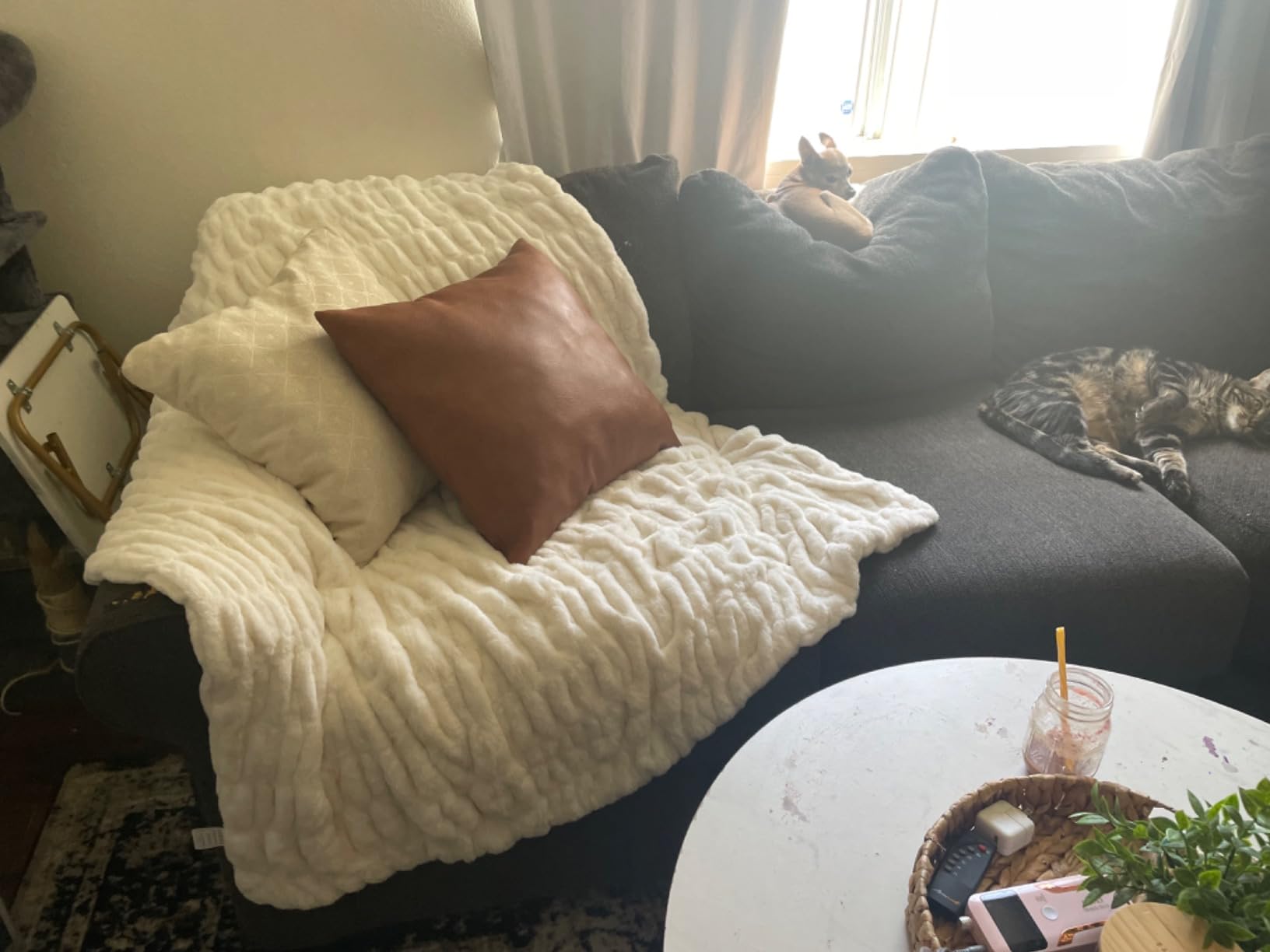 A white Aruva SereneWeave throw covers a cozy corner of a living room sectional sofa where the family dog & cat are relaxing in the sun's warmth